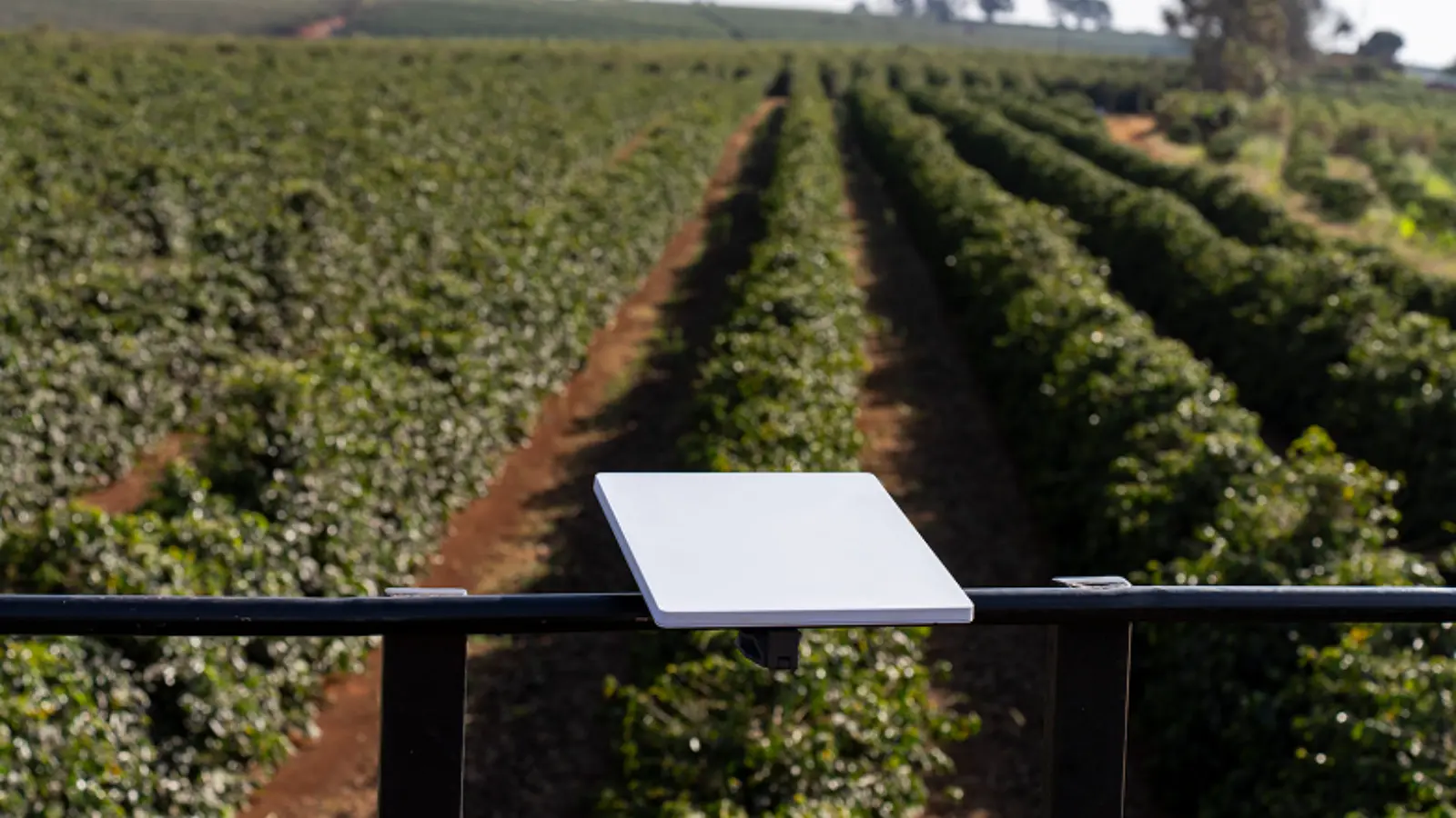 Big announcement from Starlink: Free internet in Venezuela until February 3